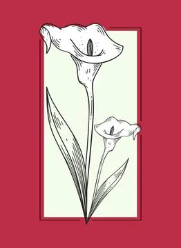 Framed flower, simple linear flower, for wall decoration Stock Illustration
