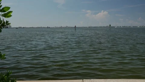 Framed green trees on left Wide View Horizontal looking out from outlet to Boca Stock Footage 285265645