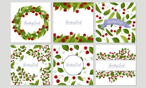 Framed Greeting Card with Branches of Cherry Blossoms Vector Set Illustrazione stock