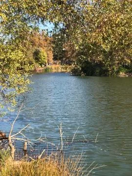 Framed Lake Stock Photos