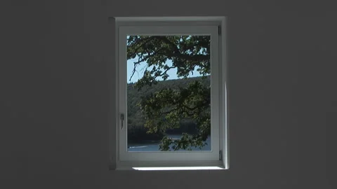 Framed landscape (1) Stock Footage 146981809