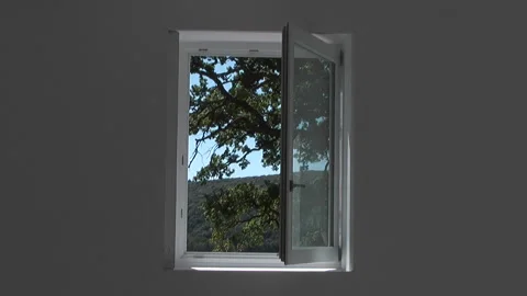 Framed landscape (3) Stock Footage 147003517