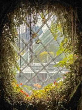 Framed by lush greenery, diamond-patterned window glows Stock Photos