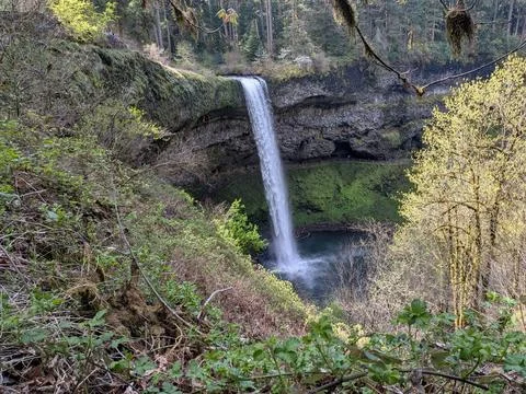 Framed by a natural opening in dense greenery, a spectacular waterfall Stock-Fotos