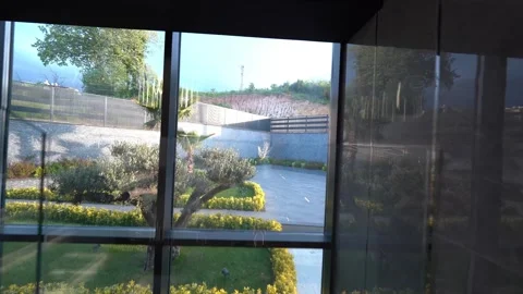 Framed by Nature: A Window View of the Tree 스톡 동영상 308511499