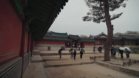 Framed Palace Gate and Courtyard View at Changdeokgung Seoul Korea 库存影片 334194427