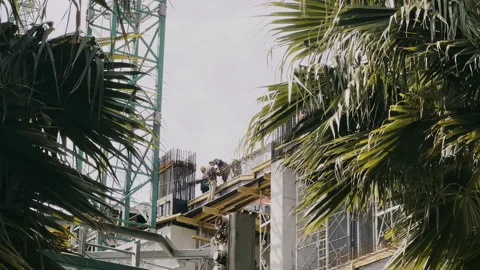 Framed with palms scene of busy construction site. Workers doing job under crane Video stock 284029697