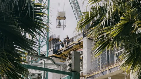 Framed with palms scene of busy construction site. Workers doing job under crane Stock Footage 284029761