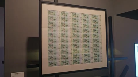 Framed Sheet of Printed Banknotes, Museo Casa de Moneda, Bogotá, Colombia 8K Stock-Footage 331518054