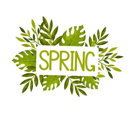 Framed Spring Botanical Composition with Green Bouquet Vector Illustration Illustrazione stock