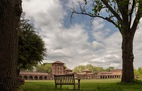 Framed by the sturdy embrace of two ancient trees, a solitary wooden bench .. 스톡 사진