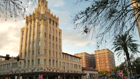 Framed tree limbs Pan right to left north toward historic Snell Arcade Building Stock Footage 289159694