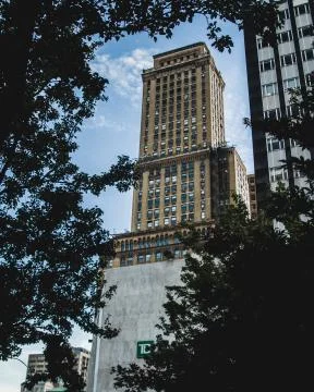 Framed by Trees-2 库存照片