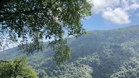Framed Valley View in Kartepe, Turkey Stock Footage 340968439