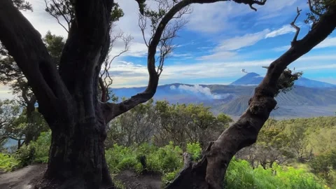 Framed View of Active Volcano with Moving Clouds and Ancient Trees Stock Footage 328769937