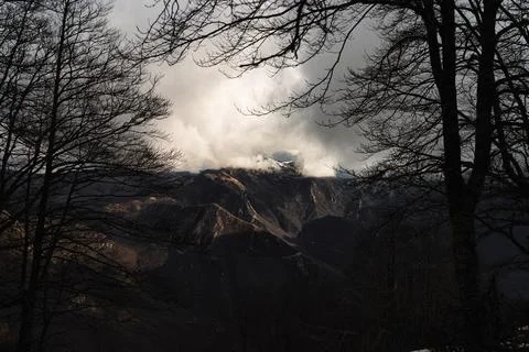 Framed View of Mountain Peak Covered in Clouds Through Bare Winter Trees Stock Photos