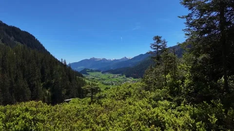 Framed View of Mountain Valley Through Forest Foliage Видео 343813740