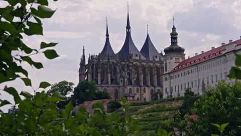 Framed View of St. Barbara’s Cathedral Through Summer Leaves Stock Footage 313882315