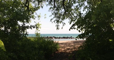 Framed view through trees of a quiet sandy beach and blue lake waves Stock Footage 320017678