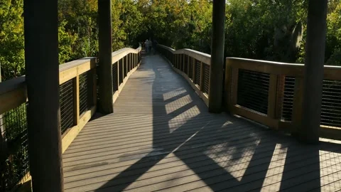 Framed Wide view leading lines down the center of hiking wood boardwalk nature t Stock Footage 283298118