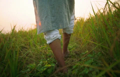 Framer walking in a green field Stock Footage 295606407