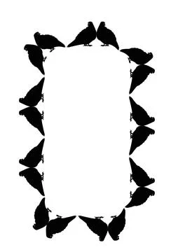 The frames are black on a white background - silhouettes of birds. Pigeons. Stock Illustration