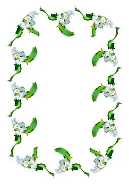 Frames are a branch of apple blossoms with leaves on the white background of  Stockillustratie
