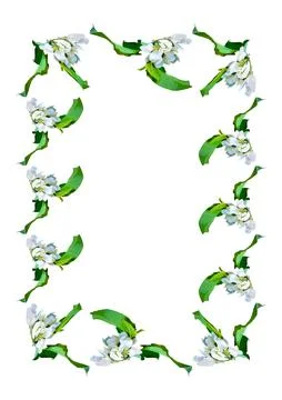 Frames are a branch of apple blossoms with leaves on the white background of  Illustrazione stock