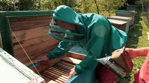 Frames of a bee hive, beekeeper in green special clothes harvesting honey Stock-Footage 116045457