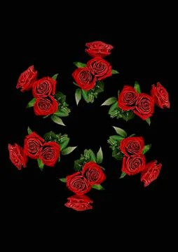 Frames - a bouquet of three red roses. Flowers on the black background of the Stock Illustration