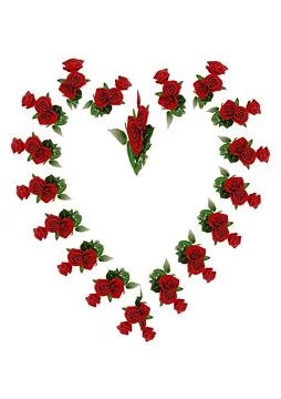 Frames - a bouquet of three red roses. Flowers on the white background of the Stock Illustration