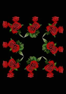 Frames - a bouquet of three red roses. Flowers on the black background of the Stock Illustration