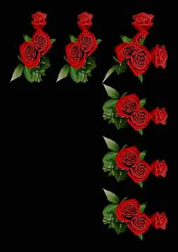 Frames - a bouquet of three red roses. Flowers on the black background of the Illustrazione stock