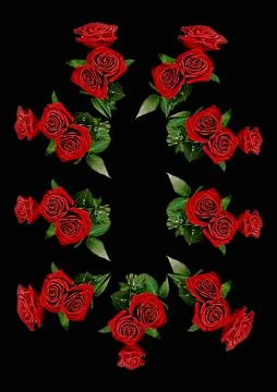 Frames - a bouquet of three red roses. Flowers on the black background of the Illustrazione stock