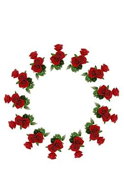 Frames - a bouquet of three red roses. Flowers on the white background of the Stock Illustration