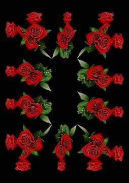 Frames - a bouquet of three red roses. Flowers on the black background of the Stock Illustration