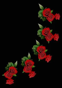 Frames - a bouquet of three red roses. Flowers on the black background of the Stock Illustration