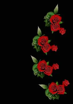 Frames - a bouquet of three red roses. Flowers on the black background of the Stock Illustration