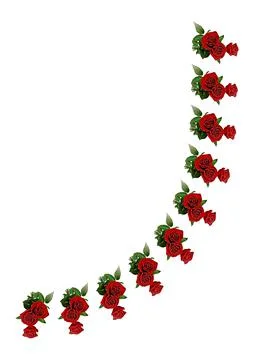 Frames - a bouquet of three red roses. Flowers on the white background of the Stock Illustration
