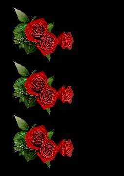 Frames - a bouquet of three red roses. Flowers on the black background of the Stock Illustration