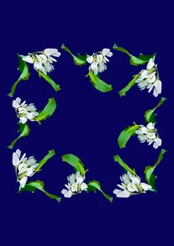Frames - a branch of apple flowers on the blue background of the A4, vertical Stockillustratie