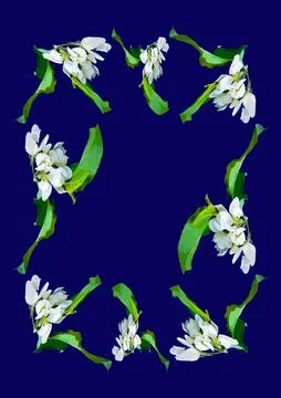 Frames - a branch of apple flowers on the blue background of the A4, vertical イラスト素材