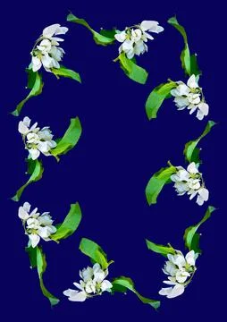 Frames - a branch of apple flowers on the blue background of the A4, vertical 스톡 일러스트