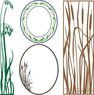 Frames Design Collection Sets Elegant Borders &amp;amp; Decorative Outlines Stock Illustration