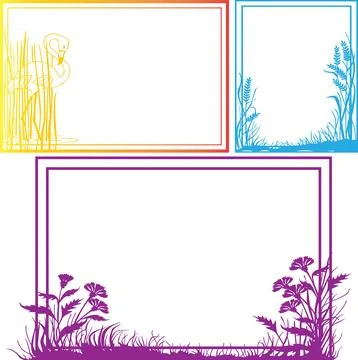 Frames Design Collection Sets Elegant Borders &amp;amp; Decorative Outlines Stock Illustration