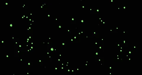 Frames, green New Year with beautiful Christmas balls, blend mode Stock Footage 164648012