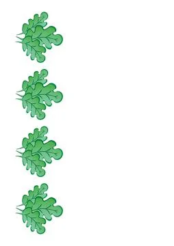 Frames of green oak leaves on a white sheet of A4 format, pastiche, graphics  Stock Illustration