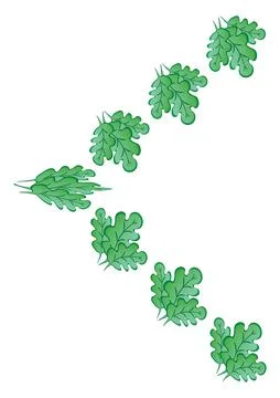 Frames of green oak leaves on a white sheet of A4 format, pastiche, graphics  Stock Illustration
