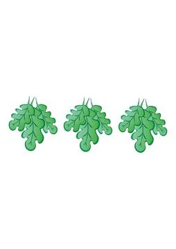 Frames of green oak leaves on a white sheet of A4 format, pastiche, graphics  Stock Illustration