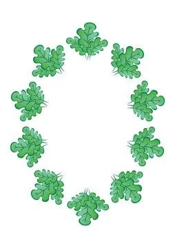 Frames of green oak leaves on a white sheet of A4 format, pastiche, graphics  Stock Illustration